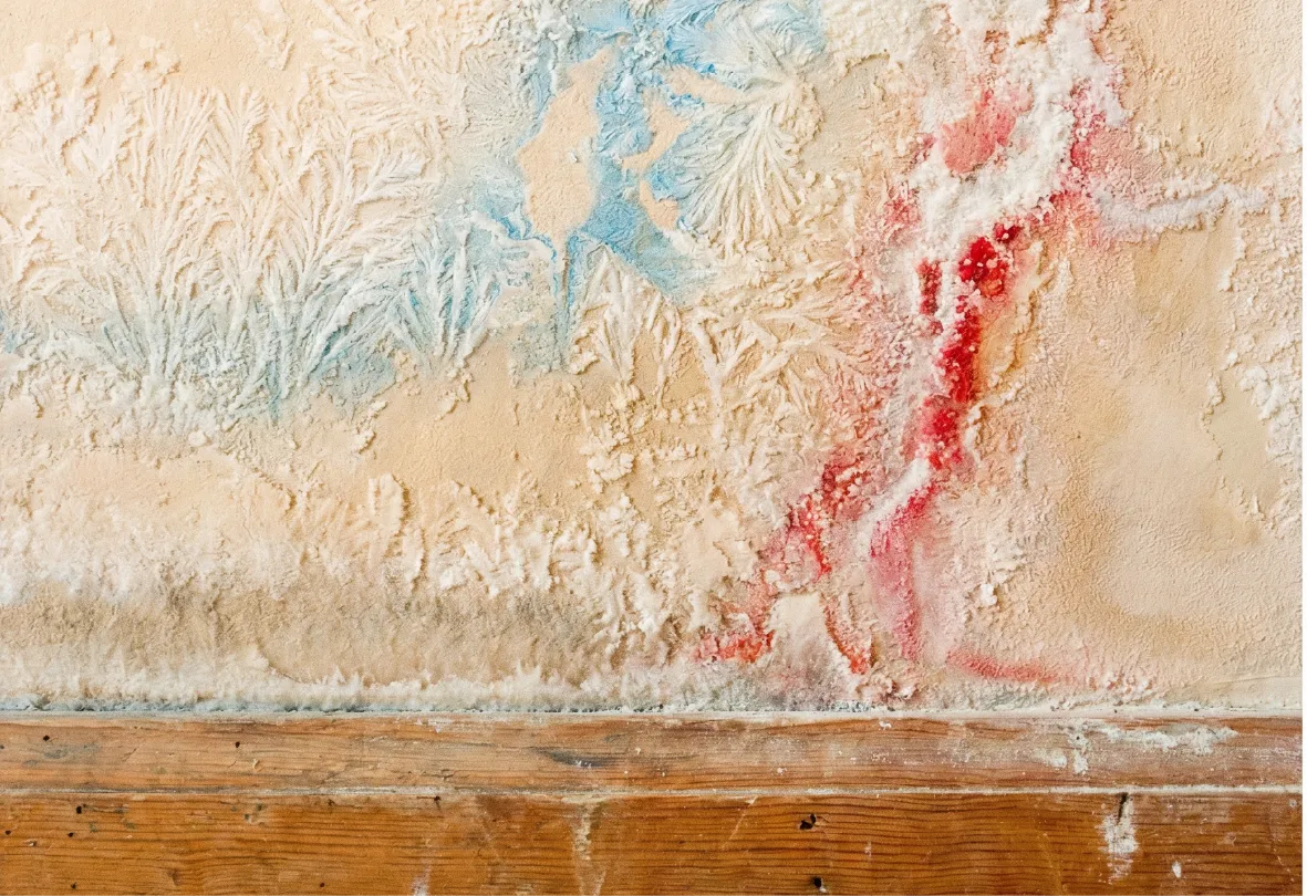 Pared con pintura y acabado deteriorado por capilaridad